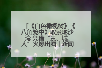 《白色橄榄树》《八角笼中》取景地沙湾 凭借“景、城、人”火爆出圈丨新闻发布最前线