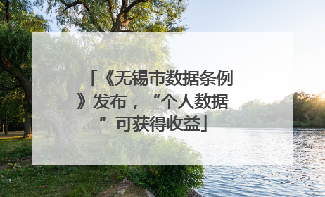 《无锡市数据条例》发布，“个人数据”可获得收益
