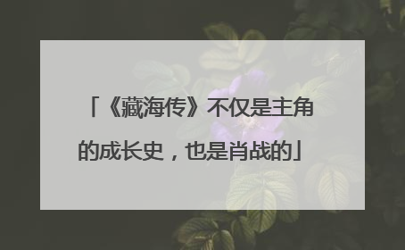 《藏海传》不仅是主角的成长史，也是肖战的