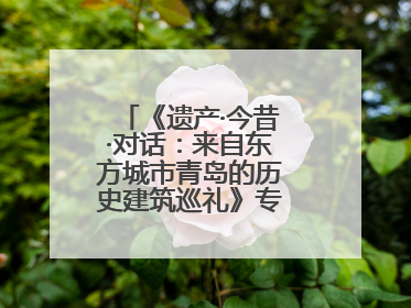 《遗产·今昔·对话：来自东方城市青岛的历史建筑巡礼》专题展在德开幕