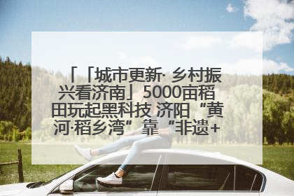 「城市更新· 乡村振兴看济南」5000亩稻田玩起黑科技 济阳“黄河·稻乡湾”靠“非遗+露营”火出圈