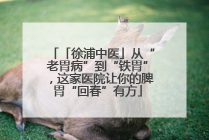 「徐浦中医」从“老胃病”到“铁胃”，这家医院让你的脾胃“回春”有方