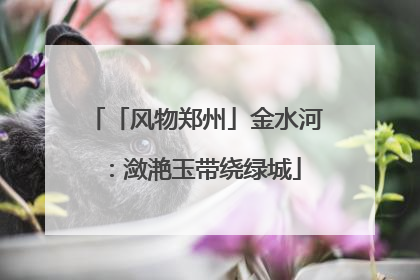 「风物郑州」金水河：潋滟玉带绕绿城