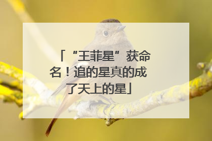 “王菲星”获命名！追的星真的成了天上的星