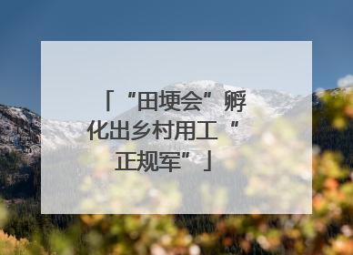 “田埂会”孵化出乡村用工“正规军”