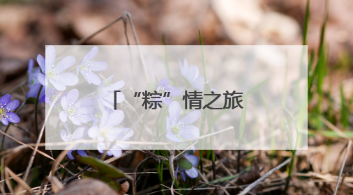 “粽”情之旅 童趣满溢