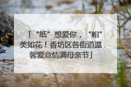 “纸”想爱你，“帽”美如花！香坊区各街道温馨爱意情满母亲节