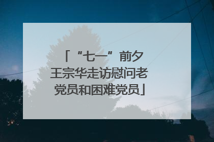 “七一”前夕 王宗华走访慰问老党员和困难党员