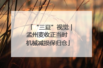 “三夏”视觉｜孟州麦收正当时 机械减损保归仓