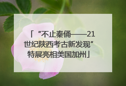 “不止秦俑——21世纪陕西考古新发现”特展亮相美国加州