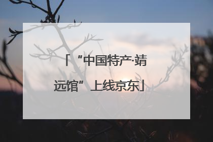 “中国特产·靖远馆”上线京东