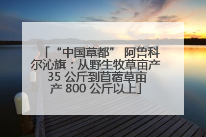 “中国草都” 阿鲁科尔沁旗：从野生牧草亩产 35 公斤到苜蓿草亩产 800 公斤以上