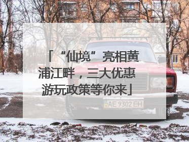 “仙境”亮相黄浦江畔，三大优惠游玩政策等你来