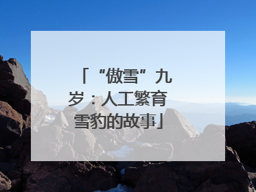 “傲雪”九岁：人工繁育雪豹的故事