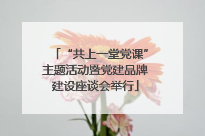 “共上一堂党课”主题活动暨党建品牌建设座谈会举行