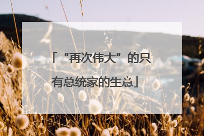 “再次伟大”的只有总统家的生意