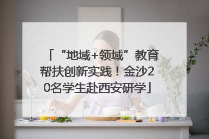 “地域+领域”教育帮扶创新实践！金沙20名学生赴西安研学