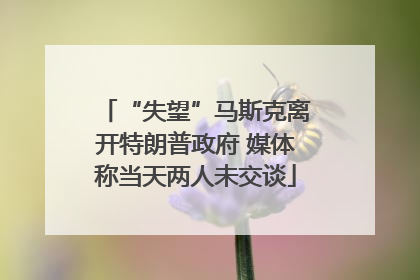 “失望”马斯克离开特朗普政府 媒体称当天两人未交谈
