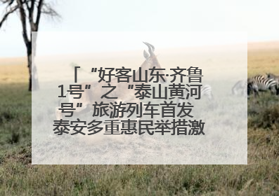 “好客山东·齐鲁1号”之“泰山黄河号”旅游列车首发 泰安多重惠民举措激活文旅消费新动能