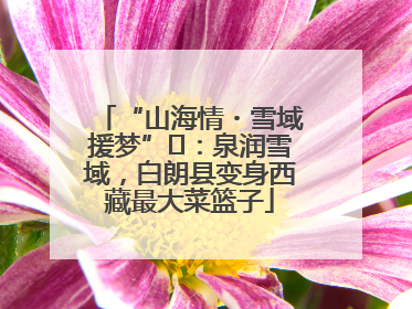 “山海情・雪域援梦”⑪：泉润雪域，白朗县变身西藏最大菜篮子