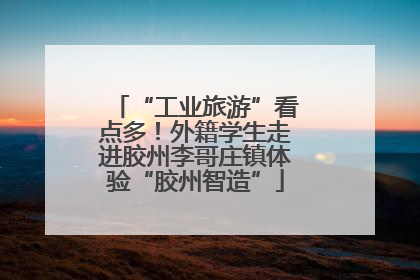 “工业旅游”看点多！外籍学生走进胶州李哥庄镇体验“胶州智造”