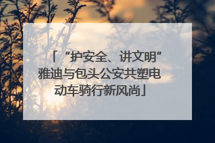“护安全、讲文明”雅迪与包头公安共塑电动车骑行新风尚