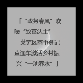 “政务春风”吹暖“致富沃土”——莱芜区商事登记直通车激活乡村振兴“一池春水”