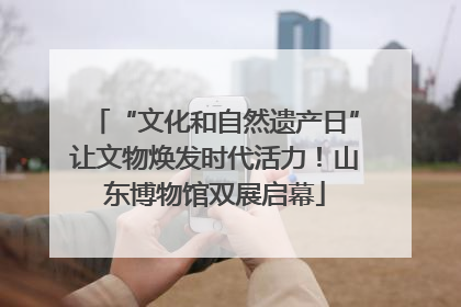 “文化和自然遗产日”让文物焕发时代活力！山东博物馆双展启幕