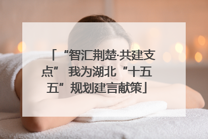 “智汇荆楚·共建支点” 我为湖北“十五五”规划建言献策
