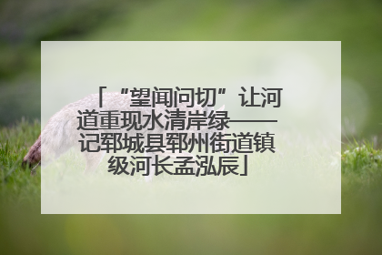 “望闻问切”让河道重现水清岸绿——记郓城县郓州街道镇级河长孟泓辰
