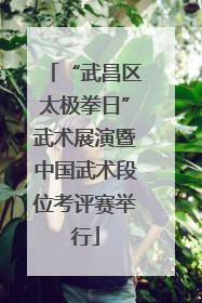 “武昌区太极拳日”武术展演暨中国武术段位考评赛举行