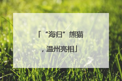 “海归”熊猫，温州亮相
