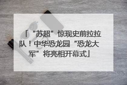 “苏超”惊现史前拉拉队！中华恐龙园“恐龙大军”将亮相开幕式