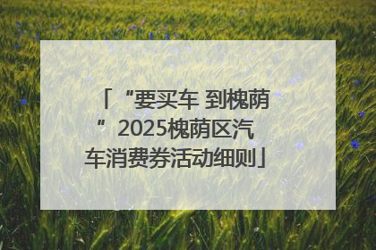 “要买车 到槐荫”2025槐荫区汽车消费券活动细则