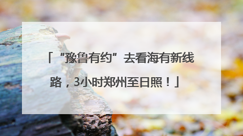 “豫鲁有约”去看海有新线路，3小时郑州至日照！