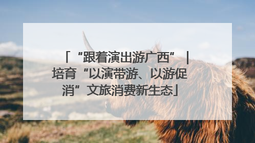 “跟着演出游广西”｜培育“以演带游、以游促消”文旅消费新生态