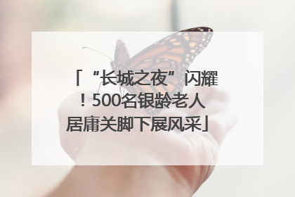 “长城之夜”闪耀！500名银龄老人居庸关脚下展风采