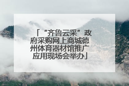 “齐鲁云采”政府采购网上商城德州体育器材馆推广应用现场会举办