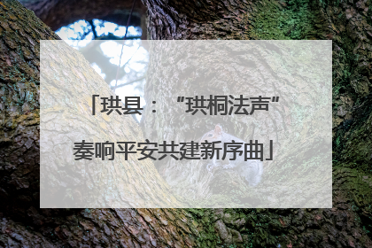 珙县：“珙桐法声”奏响平安共建新序曲