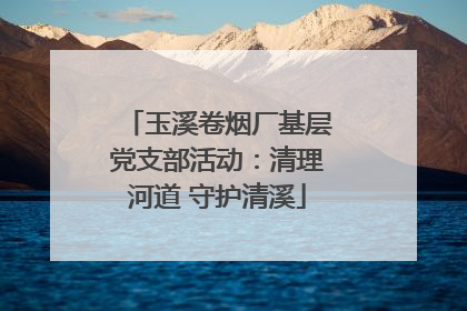 玉溪卷烟厂基层党支部活动：清理河道 守护清溪