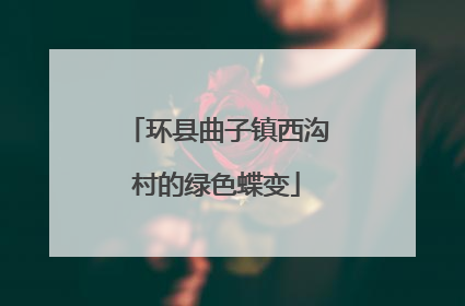 环县曲子镇西沟村的绿色蝶变