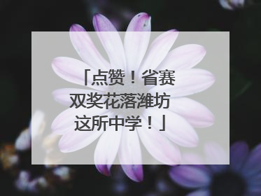 点赞！省赛双奖花落潍坊这所中学！