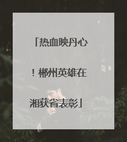 热血映丹心！郴州英雄在湘获省表彰