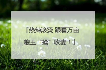 热辣滚烫 跟着万亩粮王“抢”收麦！