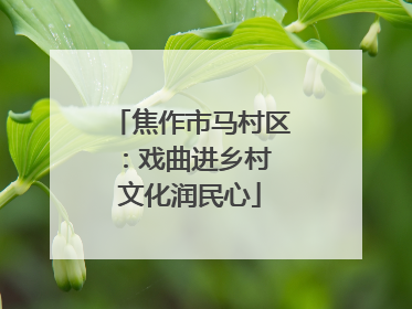 焦作市马村区：戏曲进乡村 文化润民心