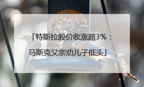 特斯拉股价收涨超3%：马斯克父亲劝儿子低头