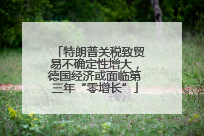 特朗普关税致贸易不确定性增大，德国经济或面临第三年“零增长”
