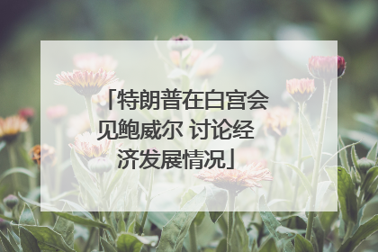 特朗普在白宫会见鲍威尔 讨论经济发展情况
