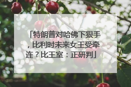 特朗普对哈佛下狠手，比利时未来女王受牵连？比王室：正研判