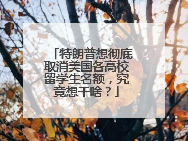 特朗普想彻底取消美国各高校留学生名额，究竟想干啥？